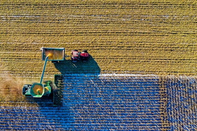 farmer English