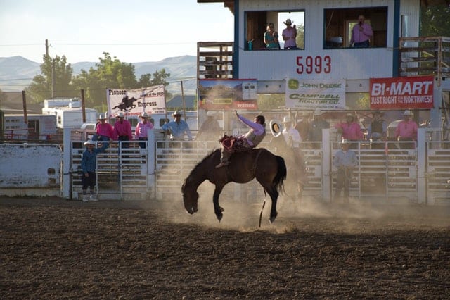 American culture rodeo