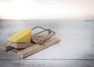 AEE 2095 - How to Avoid This Common English Grammar Trap Mouse trap with cheese