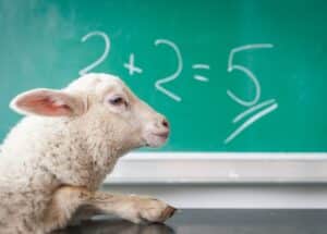 BE 420 - Don't Miss the Mark on Business Relationships Sheep doing Math