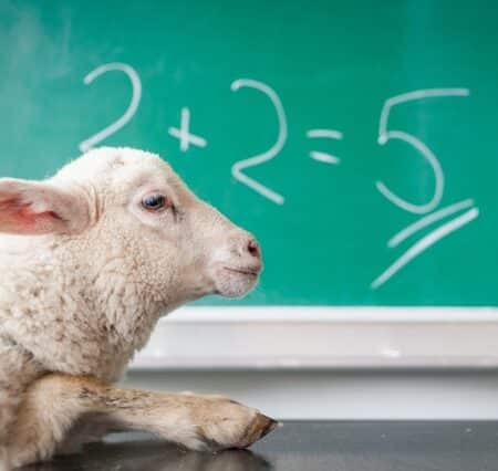 BE 420 - Don't Miss the Mark on Business Relationships Sheep doing Math